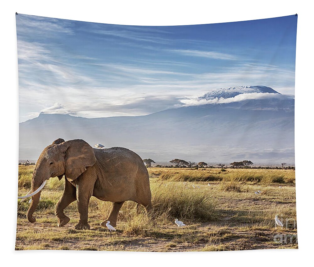 Elephant Tapestry featuring the photograph Elpephant and cattle egrets infront of Mount Kilimanjaro, Amboseli National Park by Jane Rix