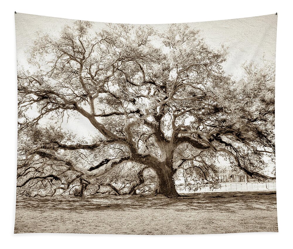 Emancipation Oak Tapestry featuring the photograph Emancipation Tree at Hampton University -Sepia by Ola Allen
