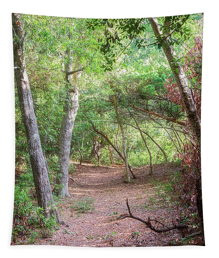 Emerald Isle Tapestry featuring the photograph Emerald Isle Woods Trail - Early October by Bob Decker