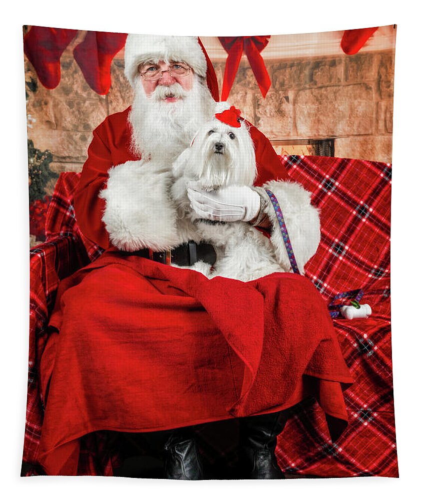 Emmy Tapestry featuring the photograph Emmy with Santa 1 by Christopher Holmes