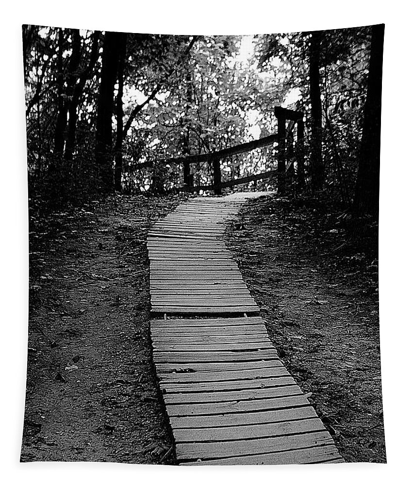 Boardwalk Tapestry featuring the photograph Empire Trail by Randy Pollard