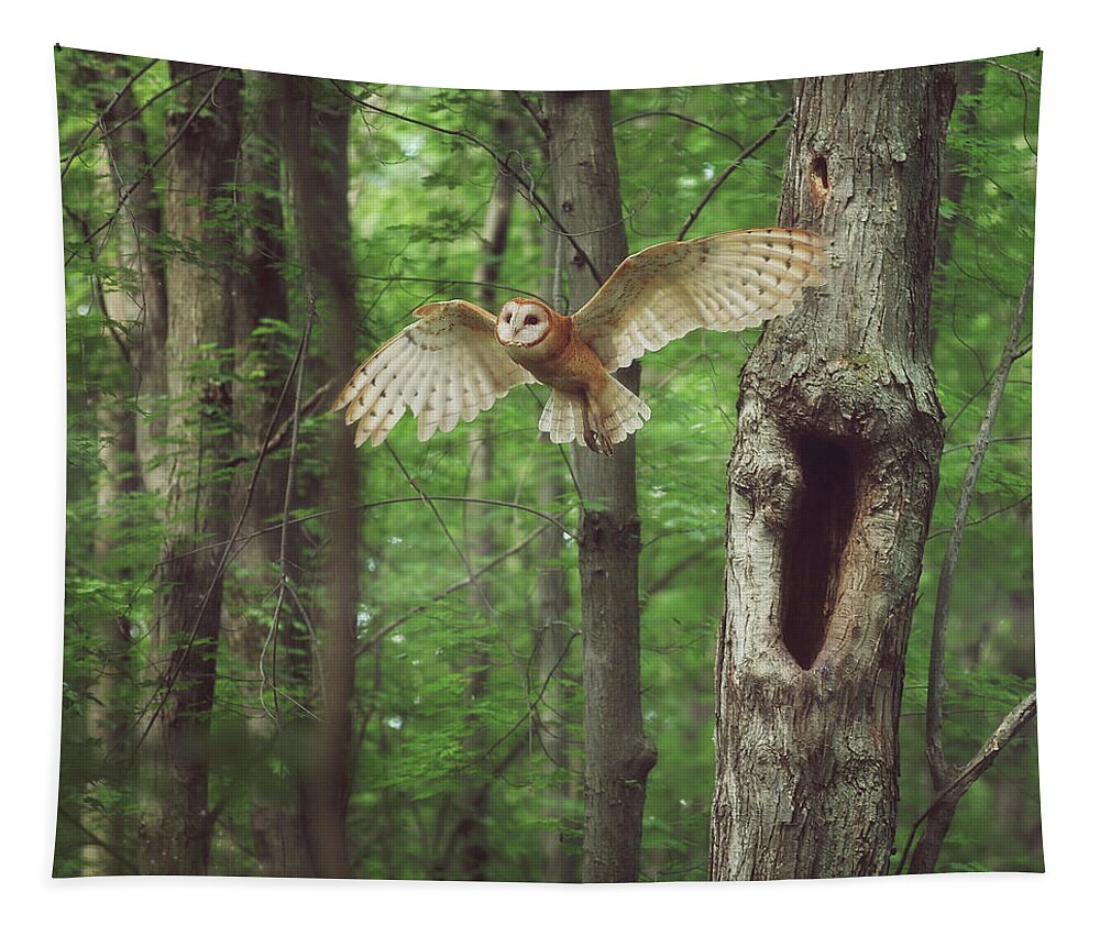 Enchanted Forest Tapestry featuring the photograph Enchanted Forest Cropped Version by Carrie Ann Grippo-Pike