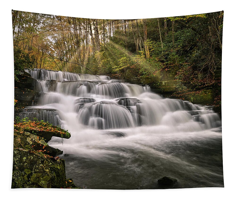 Waterfall Tapestry featuring the photograph Enchanted Forest by Eric Haggart