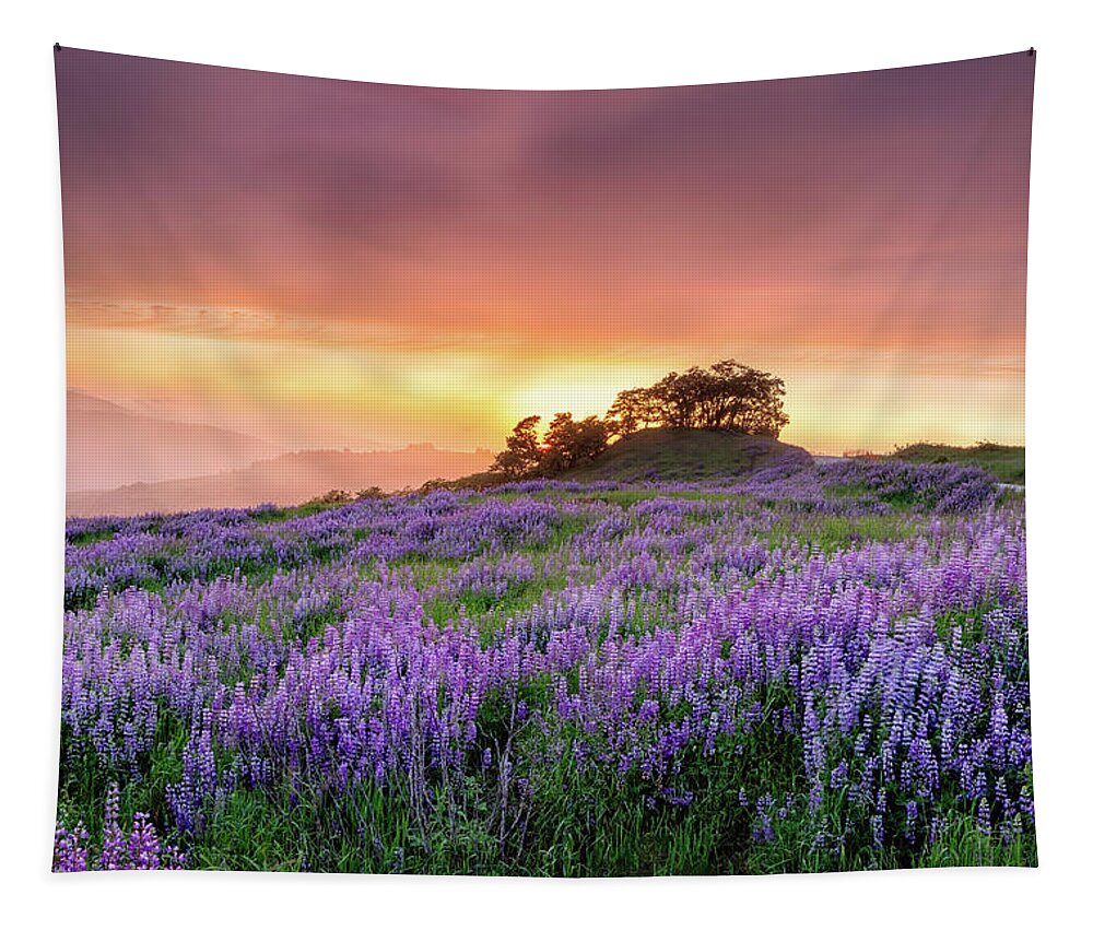Lupine Tapestry featuring the photograph End of Day by Jason Roberts
