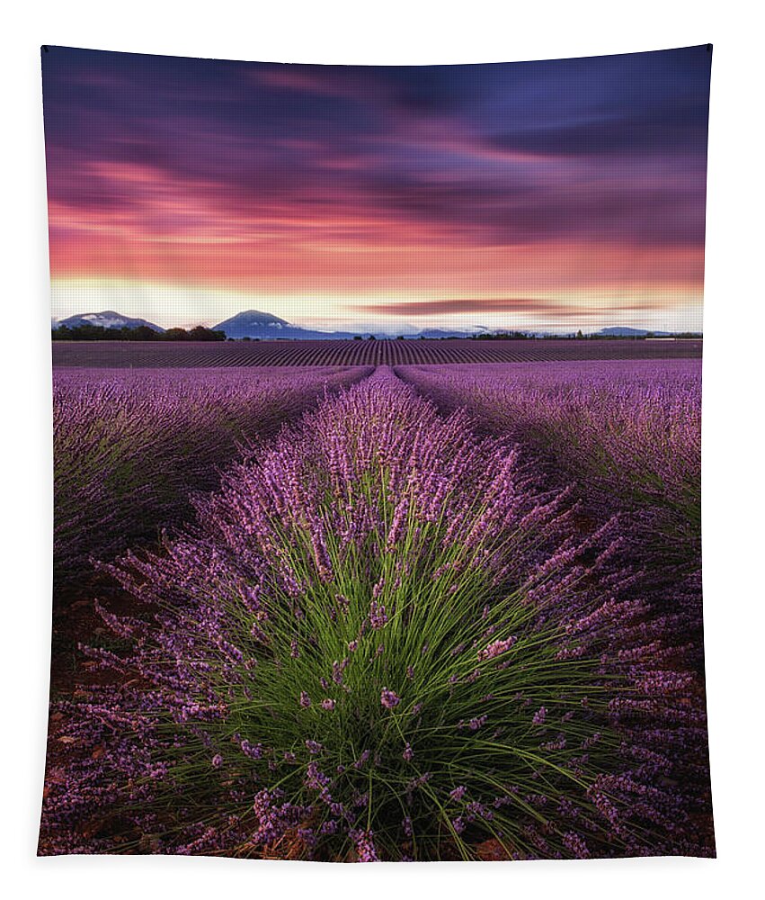 Landscape Tapestry featuring the photograph Epic sunrise by Jorge Maia