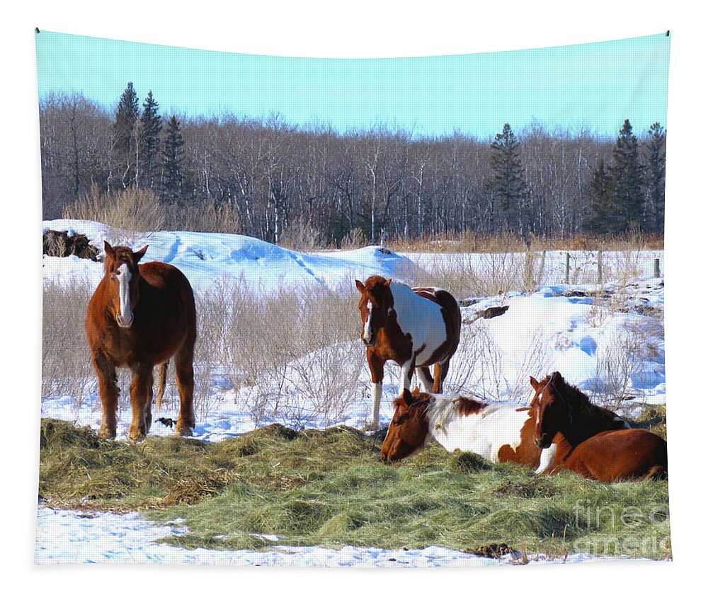 Canada Tapestry featuring the photograph Equine Relaxation by Mary Mikawoz