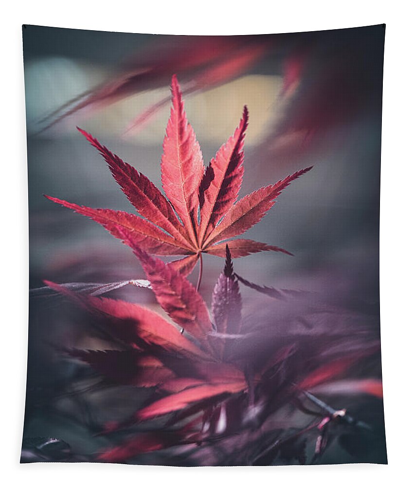 Leaves Tapestry featuring the photograph Eternity by Philippe Sainte-Laudy