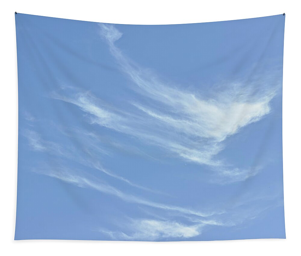 Cloud Tapestry featuring the photograph Evanescent silhouette by Karine GADRE