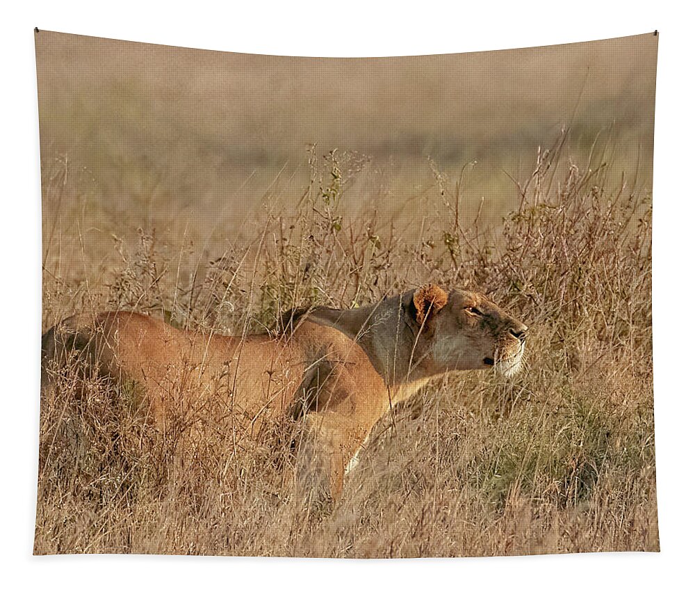 Serengeti National Park Tapestry featuring the photograph Evening Hunter, Serengeti National Park by Marcy Wielfaert