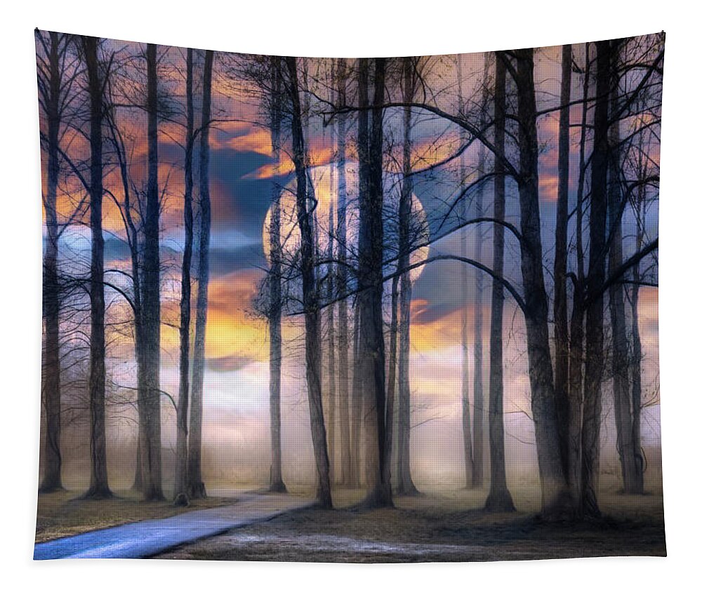 Trail Tapestry featuring the photograph Evening Mystery by Debra and Dave Vanderlaan
