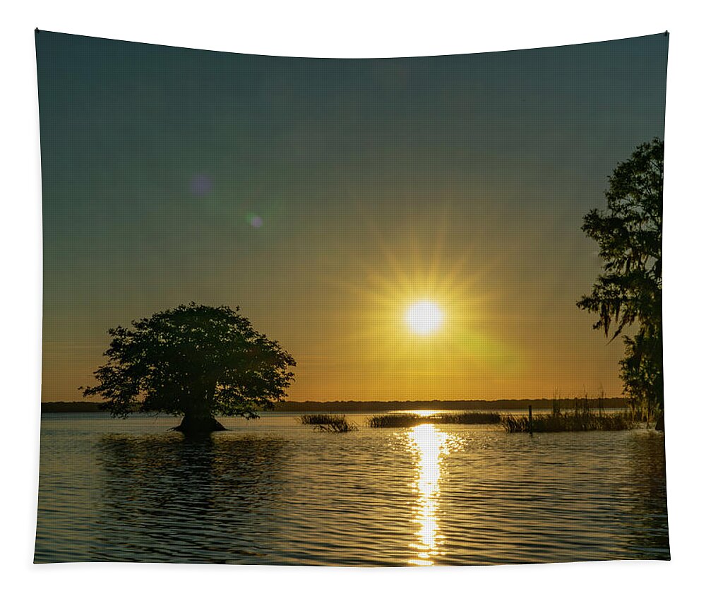 Blue Cypress Lake Tapestry featuring the photograph Evening Sunburst by Todd Tucker