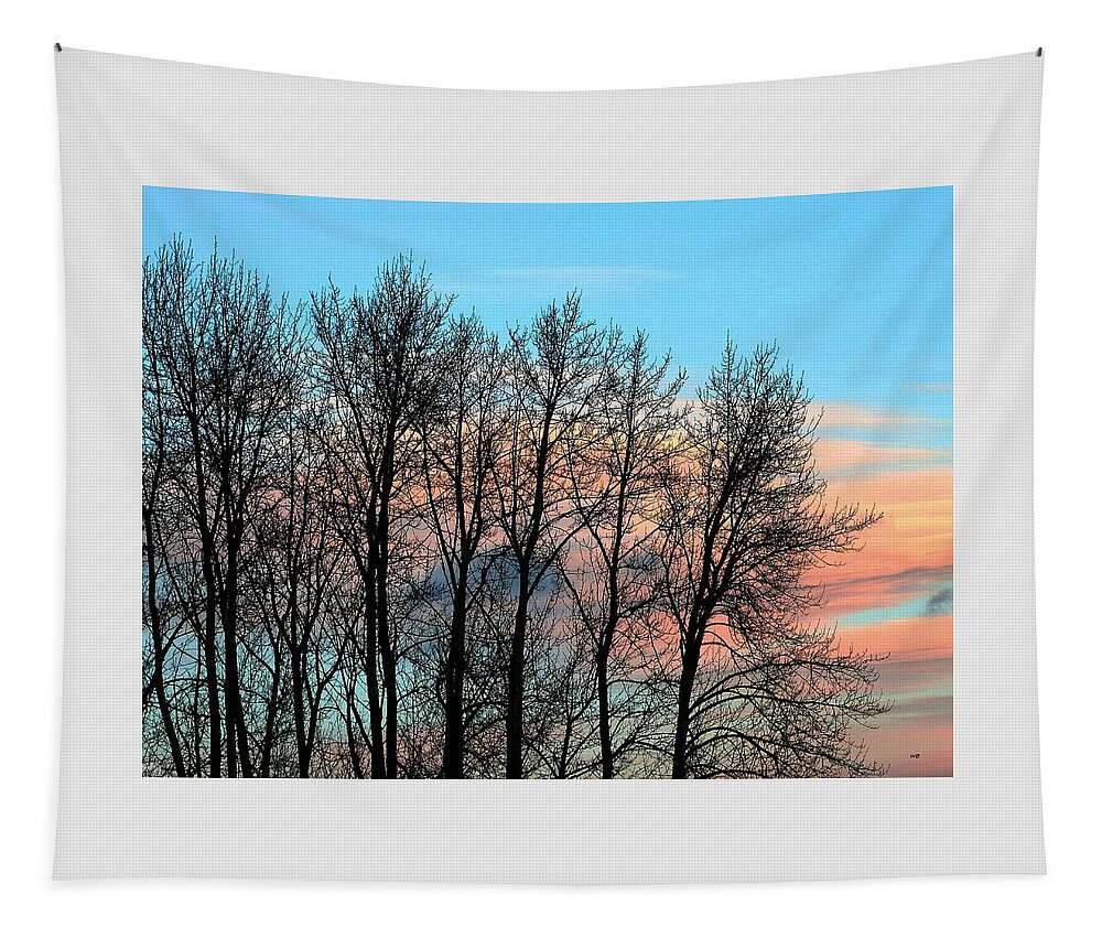 Sundown Tapestry featuring the photograph Eventide by Will Borden