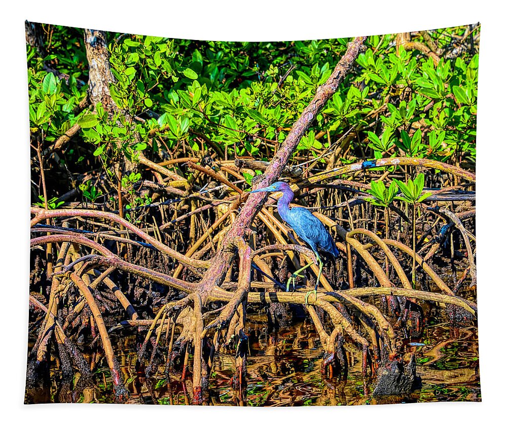 Florida Everglades Tapestry featuring the photograph Everglade Mangroves by Alison Belsan Horton