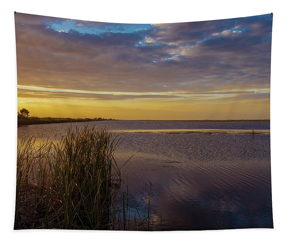 Everglades Tapestry featuring the photograph Everglades Golden Sunset by Blair Damson