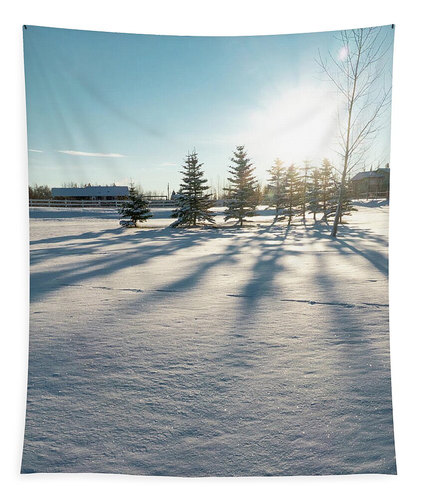 Evergreen Tapestry featuring the photograph Evergreen Shadows On Snow by Karen Rispin