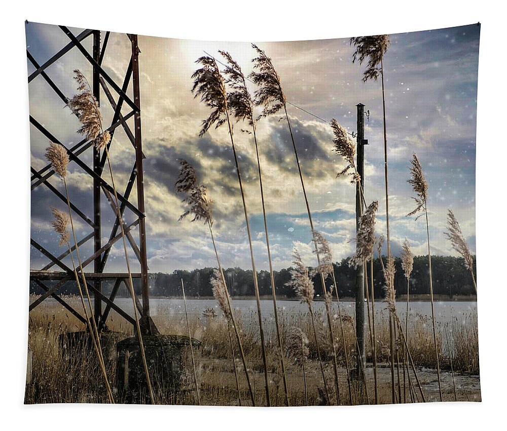 Photography Tapestry featuring the photograph Everything In Nature Has A Reason by Aleksandrs Drozdovs