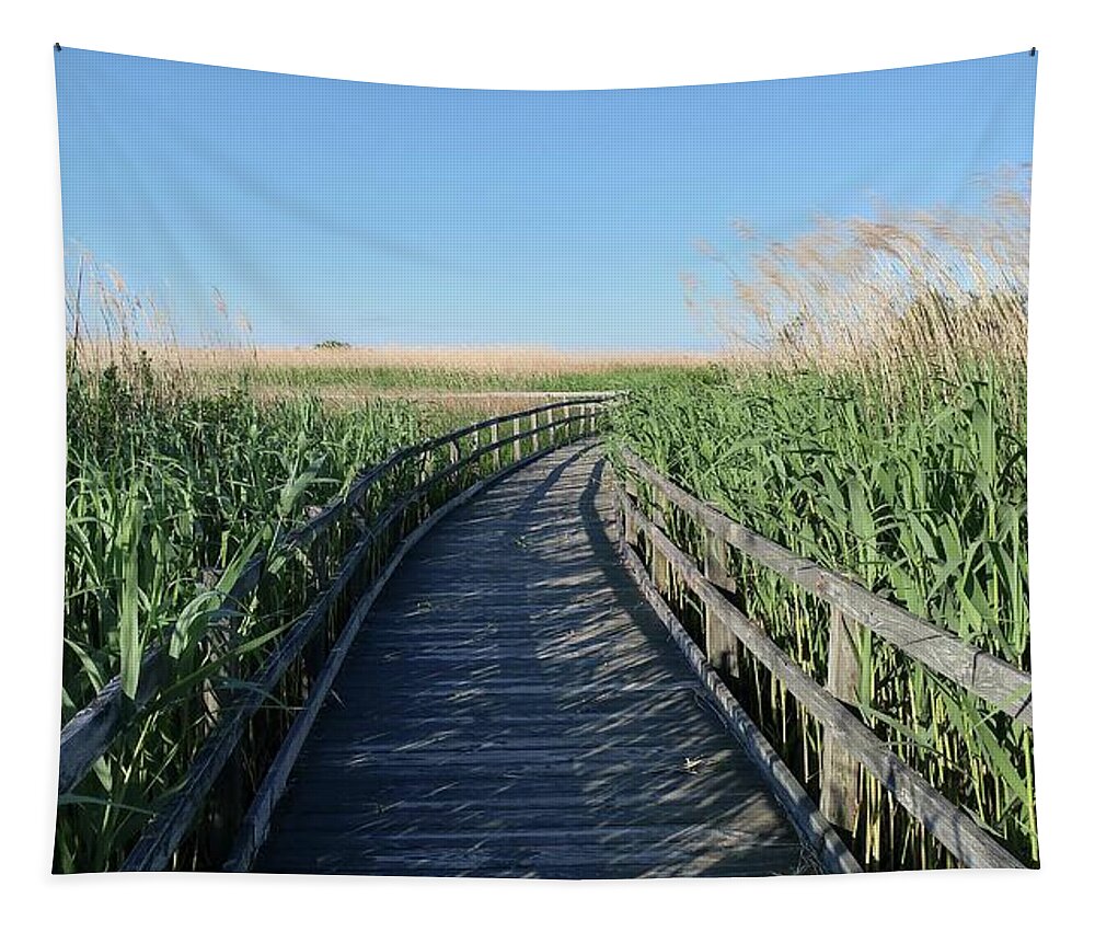 Architecture Tapestry featuring the photograph Exploring the Marsh by Liza Eckardt