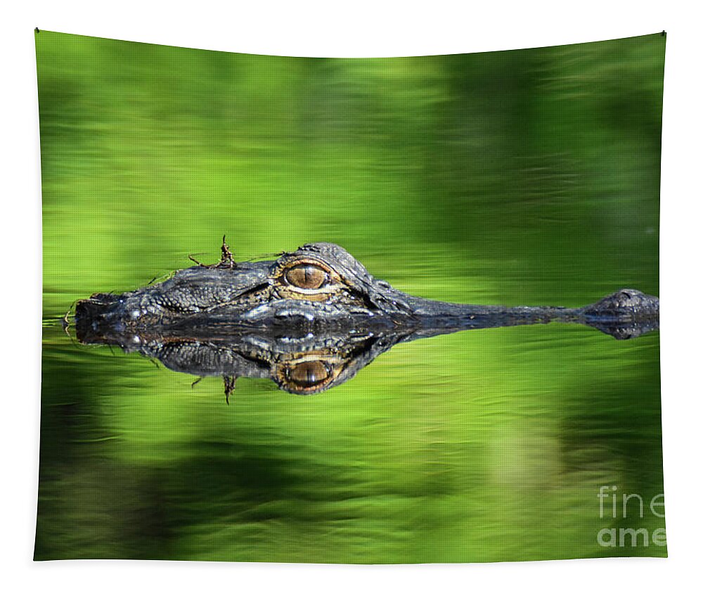 Alligator Tapestry featuring the photograph Gator Head by Ed Stokes