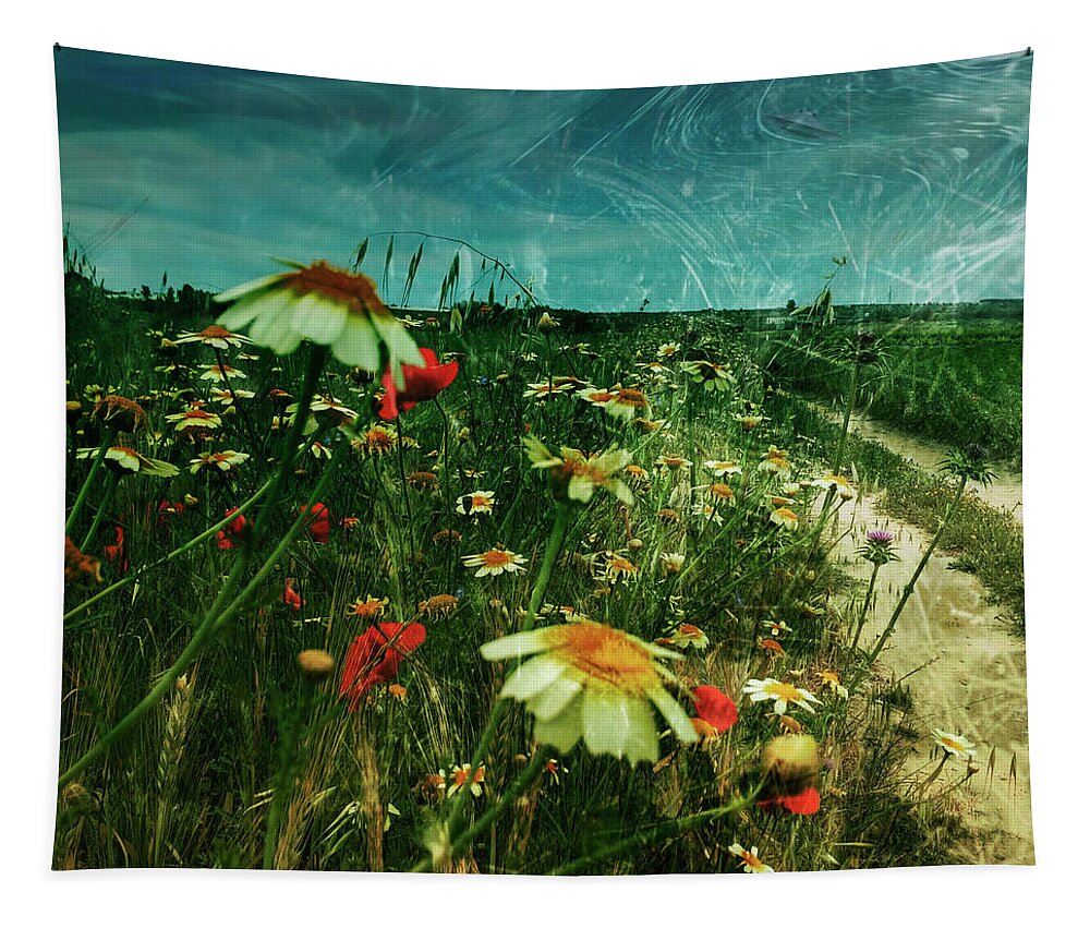 Daisies Tapestry featuring the digital art F 0059 by TECNOARTES Photo