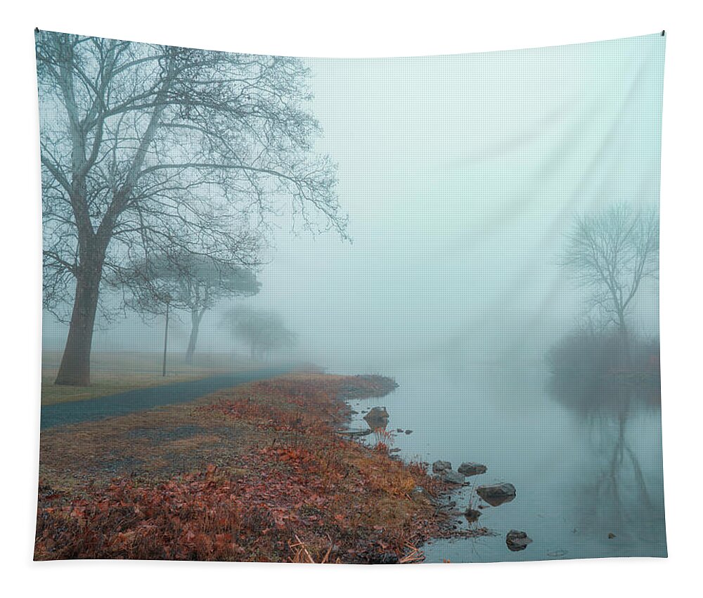 Fog Tapestry featuring the photograph Facing East on Foggy Lake Muhlenberg by Jason Fink