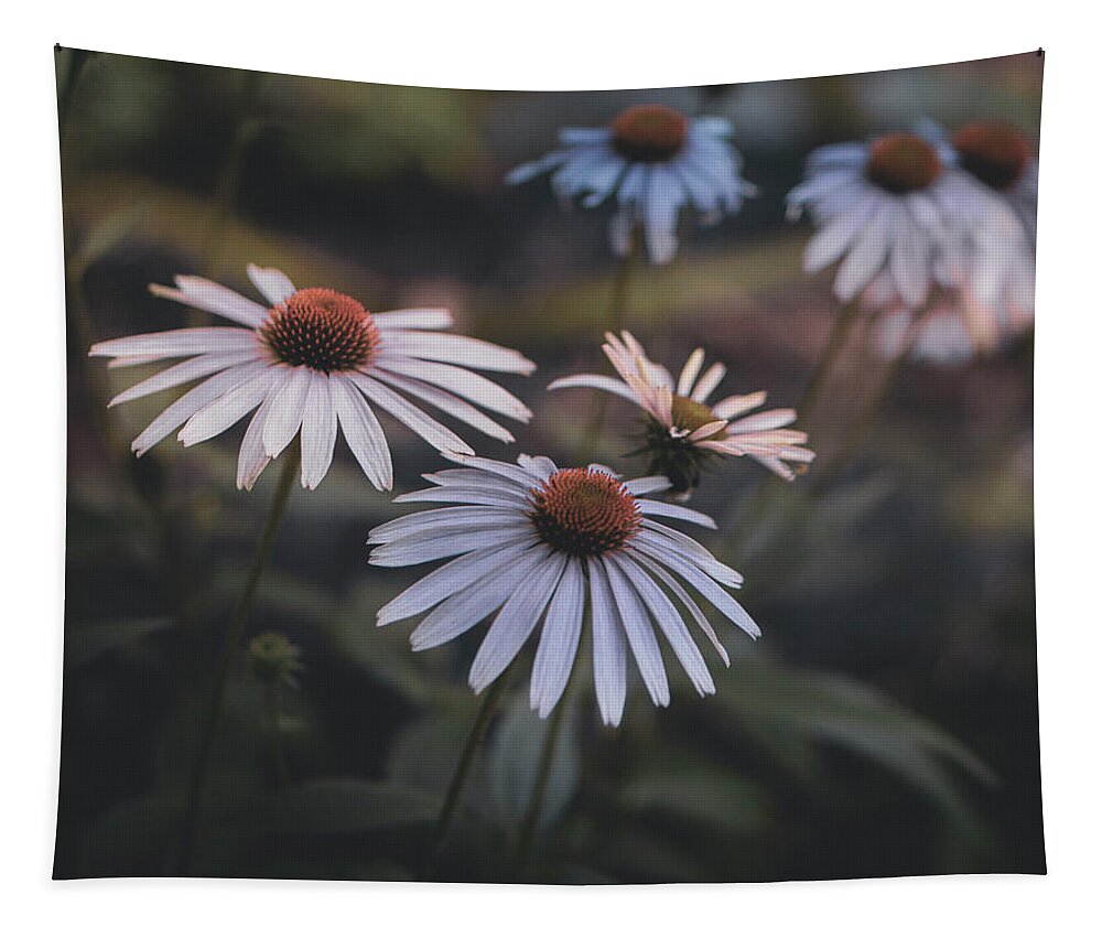 Pink Echinacea Tapestry featuring the photograph Fading Echinacea by Jason Fink