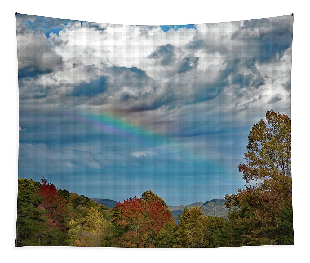 Rainbow Tapestry featuring the photograph Fading Rainbow by Gina Fitzhugh