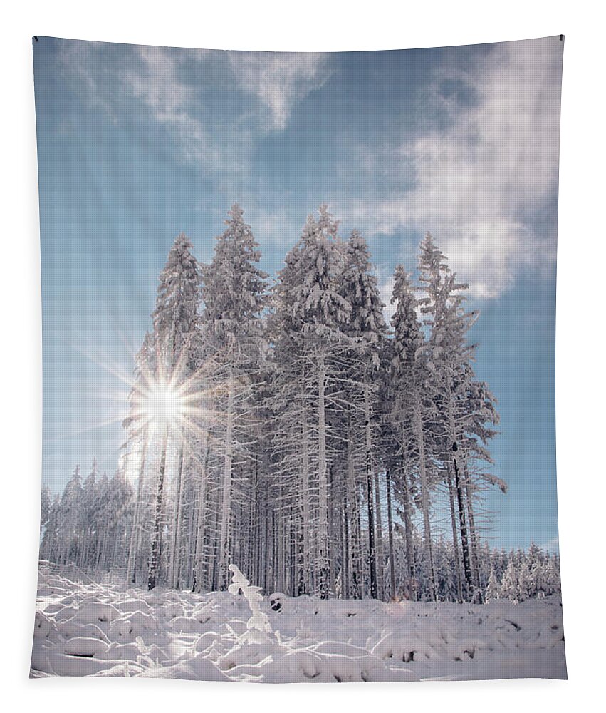 Highlands Tapestry featuring the photograph Fairy-tale wilderness covered in snow by Vaclav Sonnek