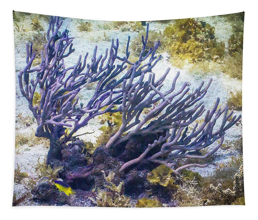 Fish Tapestry featuring the photograph Fairytail Land by Lynne Browne