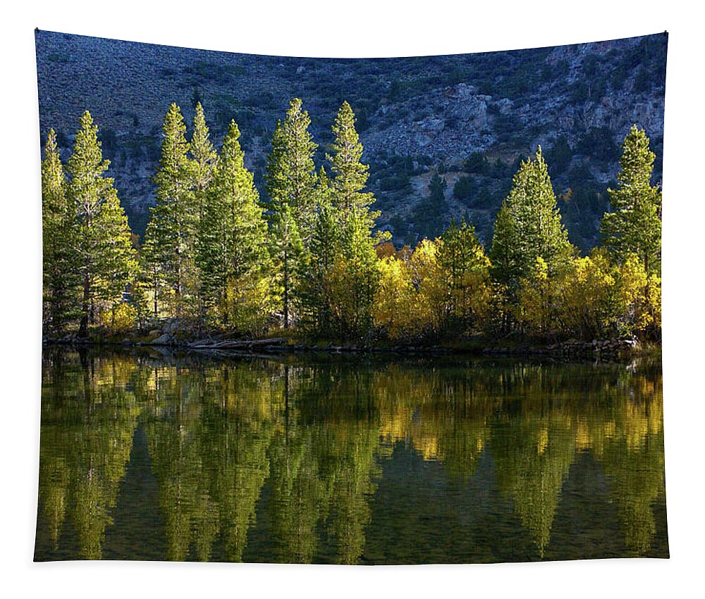 Dawn Tapestry featuring the photograph Dawn - Fall Aspen Reflections - Silver Lake - June Lake Loop - Eastern Sierra by Bonnie Colgan