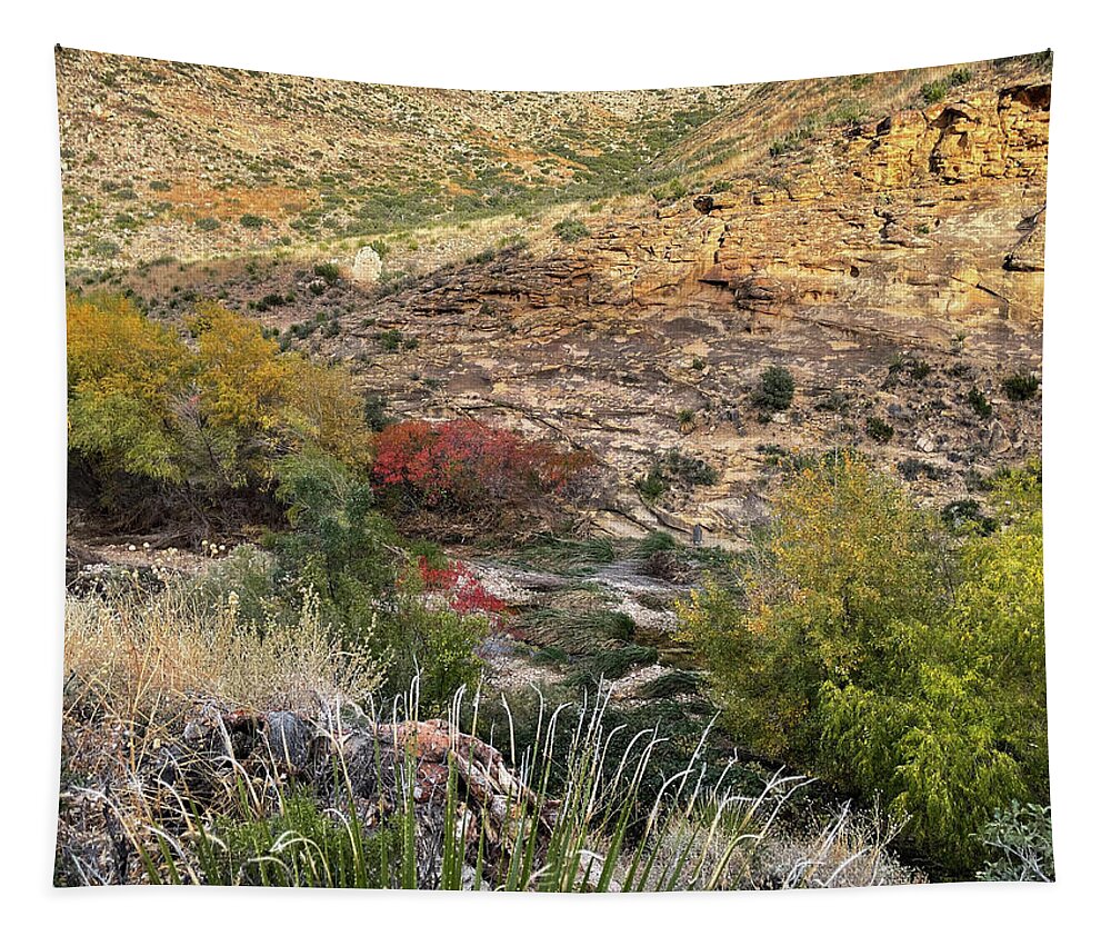Richard E Porter Tapestry featuring the photograph Fall Colors 2-Sitting Bull Falls, New Mexico-Guadalupe Mountains, Lincoln National Forest by Richard Porter