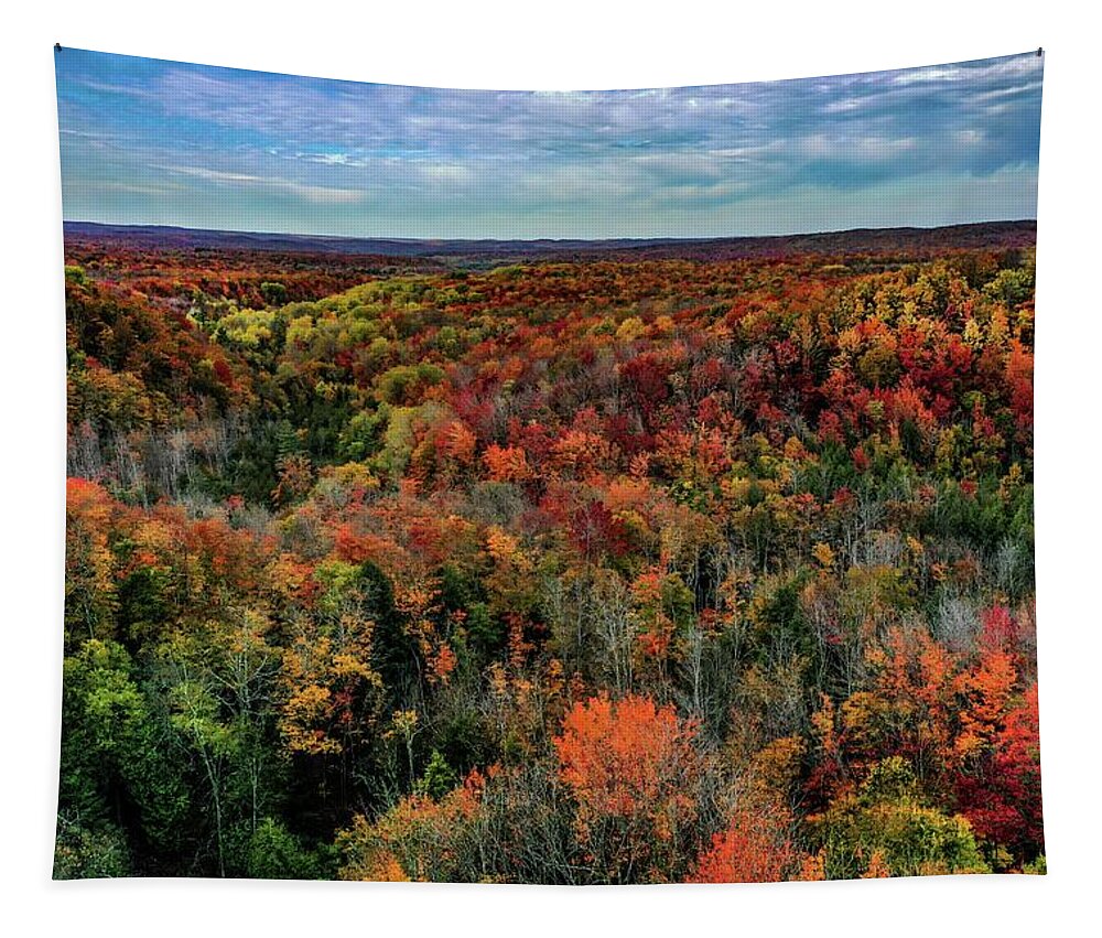 Fall Tapestry featuring the photograph Fall Colors in the Jordan Valley DJI_0156 by Michael Thomas