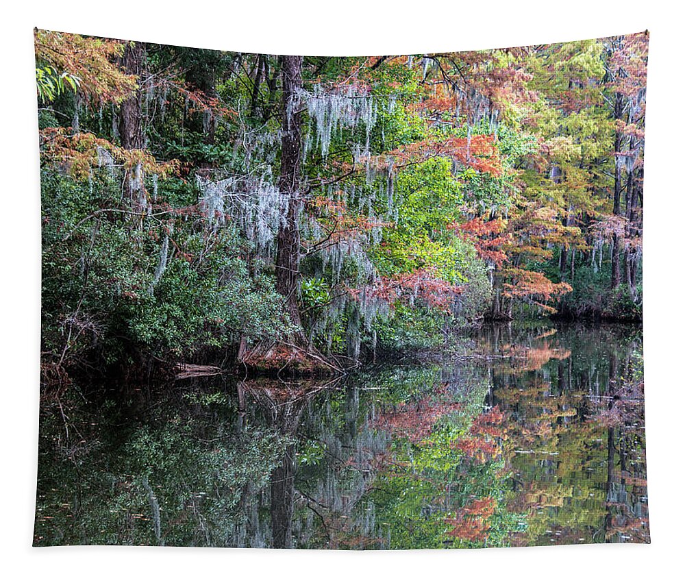 Fall Tapestry featuring the photograph Fall Colors in the Swamp by WAZgriffin Digital