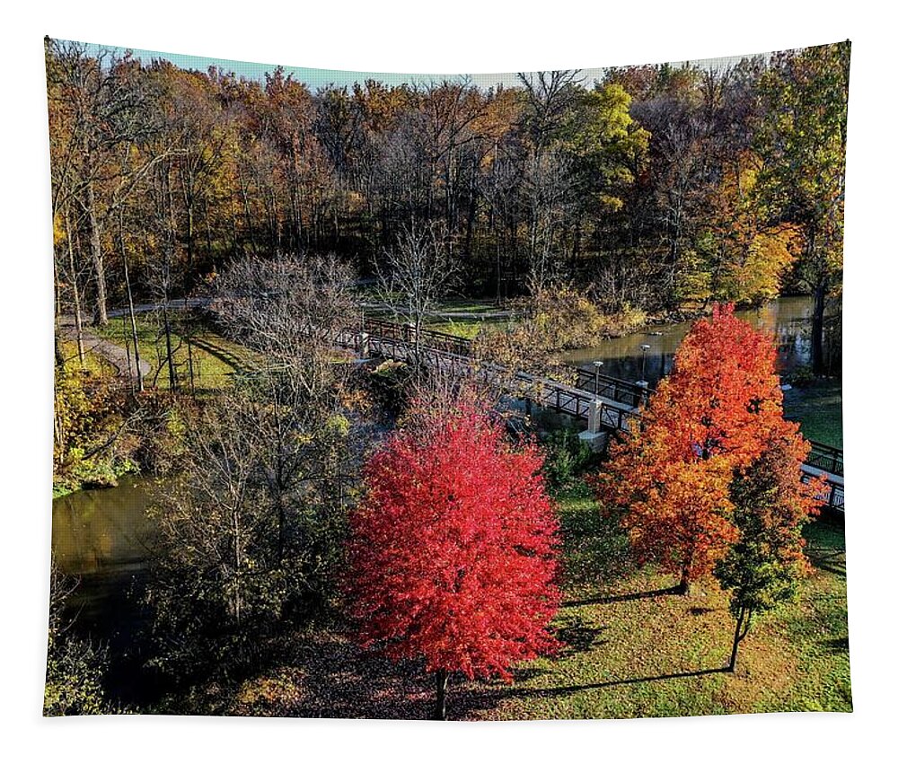 Rochester Tapestry featuring the photograph Fall Dodge Park Bridge View DJI_0295 by Michael Thomas