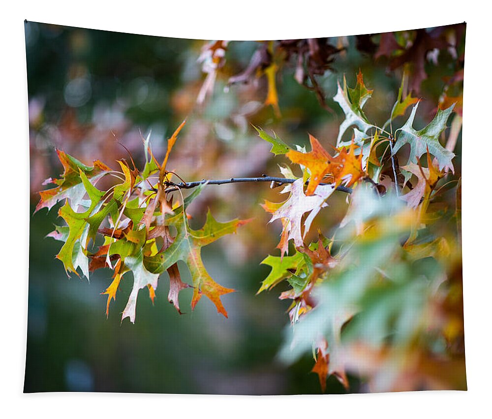 Photo Tapestry featuring the photograph Fall Foliage 2 by Evan Foster