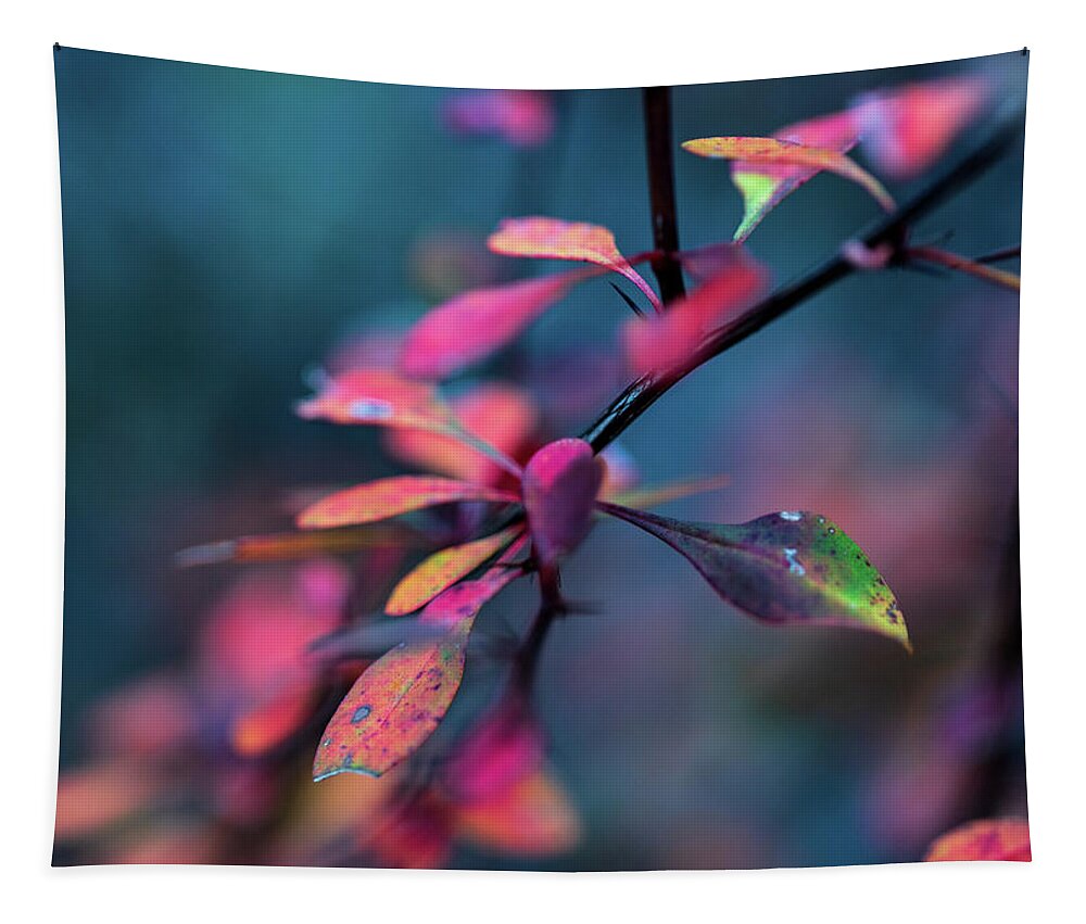 Plants Tapestry featuring the photograph Fall Foliage in the Hudson Valley by Amelia Pearn