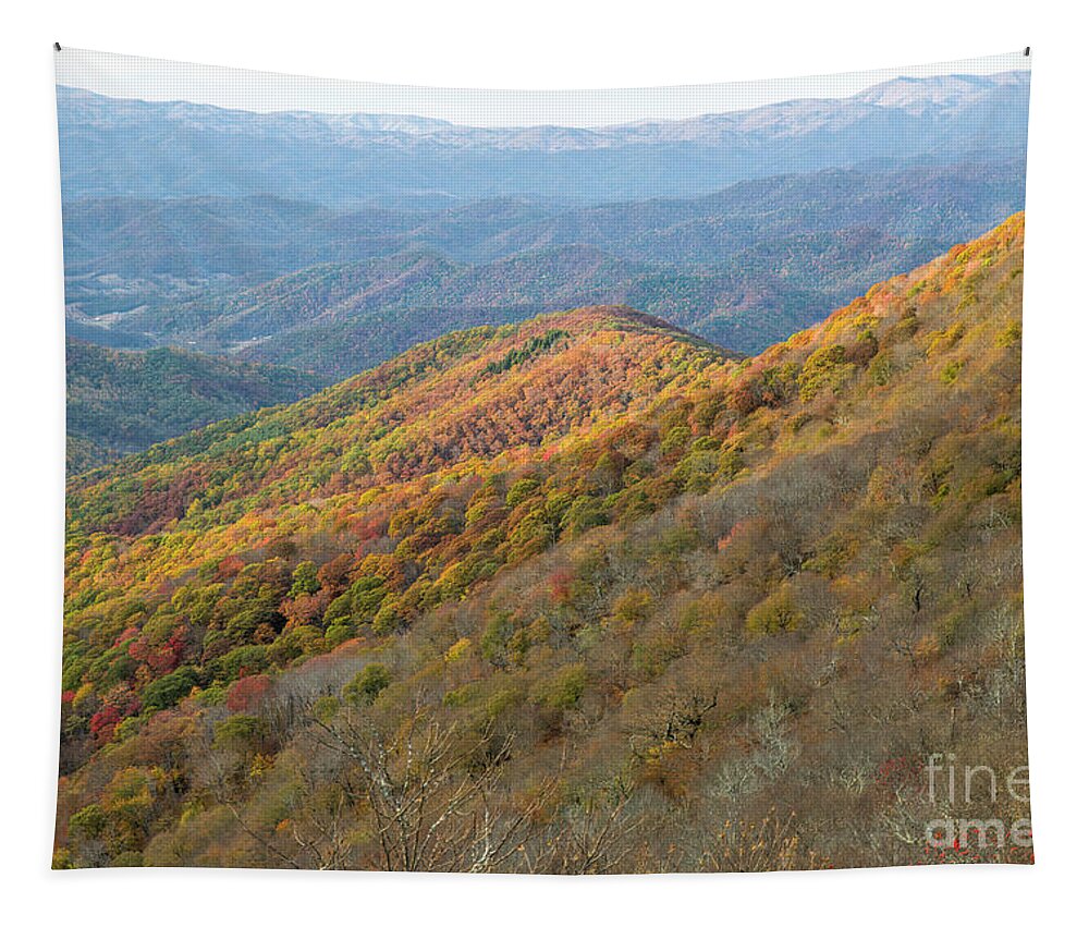Fall Foliage Tapestry featuring the photograph Fall Foliage, View From Blue Ridge Parkway by Felix Lai
