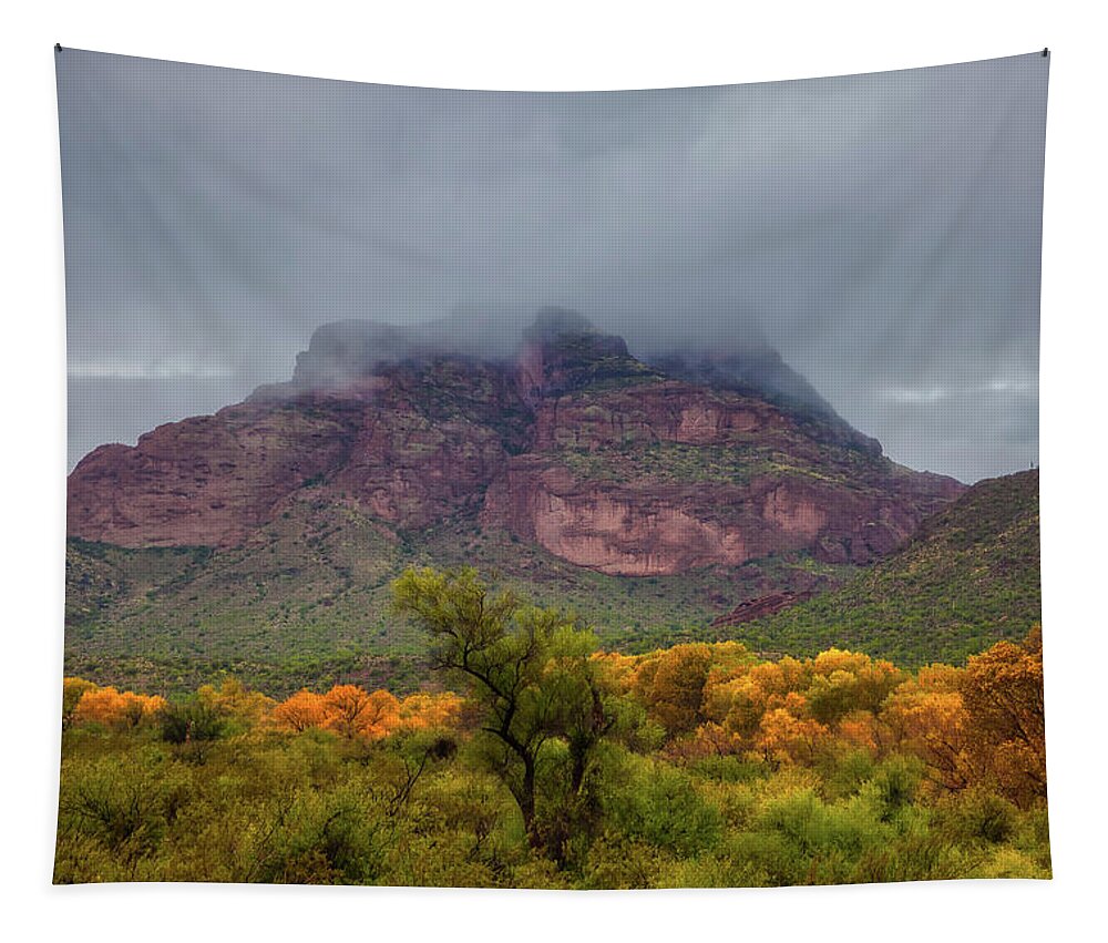 Art Tapestry featuring the photograph Fall in December by Rick Furmanek