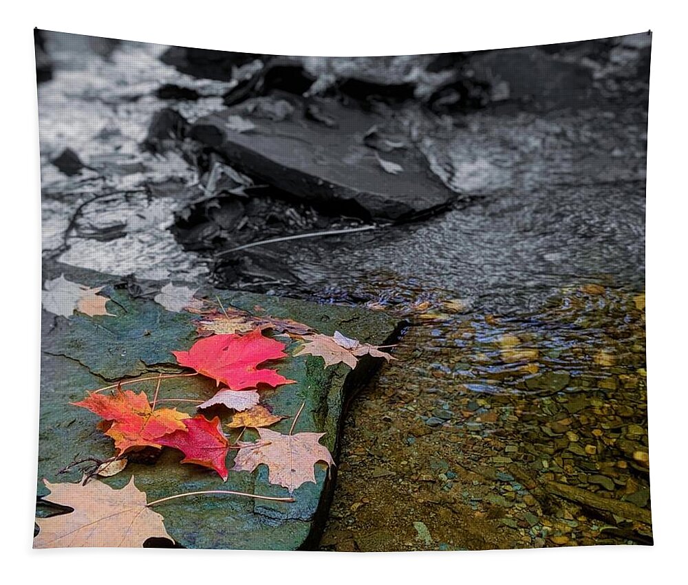  Tapestry featuring the photograph Fall Leaves by Brad Nellis
