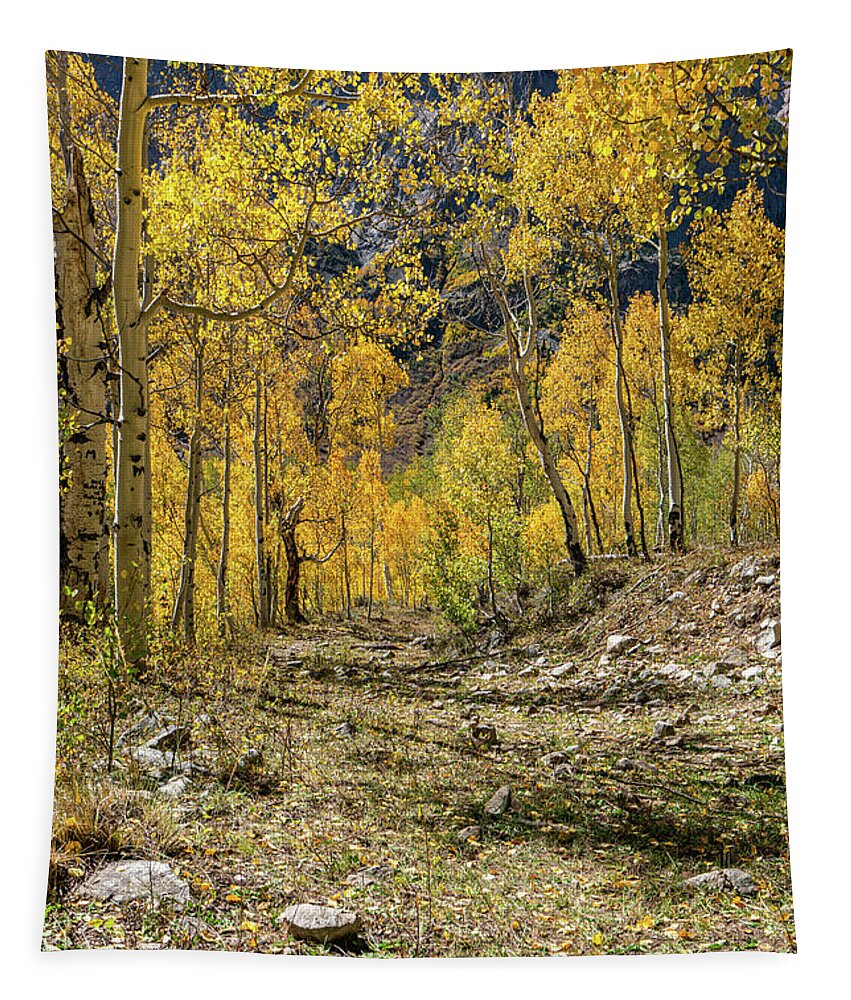 Aspens Tapestry featuring the photograph Fall Mountain Road by Ron Long Ltd Photography