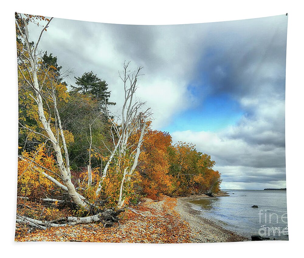 Hecla Island Tapestry featuring the photograph Fall on Hecla Island by Teresa Zieba