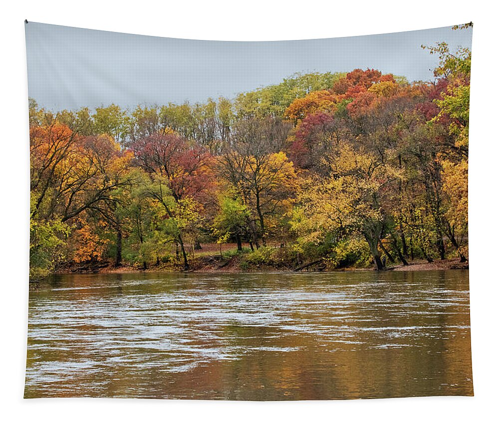 Autumn Tapestry featuring the photograph Fall on the Fox River by Ira Marcus