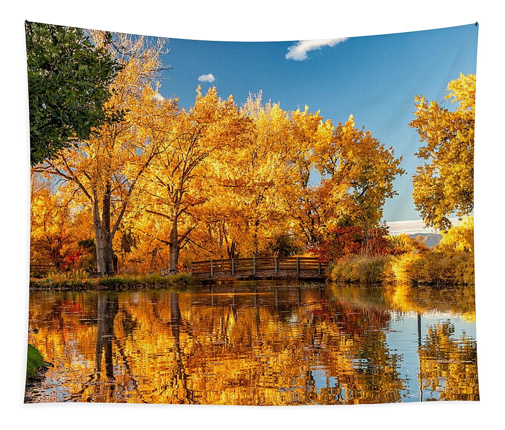 Fall Colors Tapestry featuring the photograph Fall Reflections in Colorado by Tony Hake