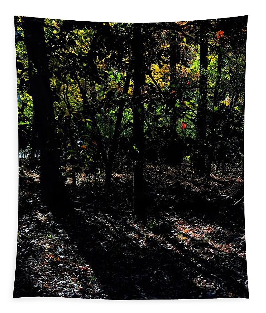 Fall Shadows Light Through The Landscape Fall Landscape Sunset And Landscape Shadows Tapestry featuring the photograph Fall Shadows by Ruben Carrillo