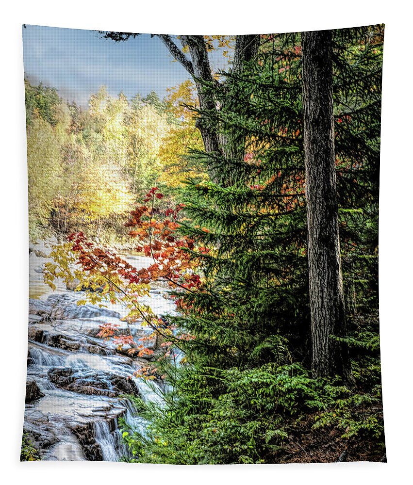 Fall Tapestry featuring the photograph Fall upon fall by Patricia Dennis