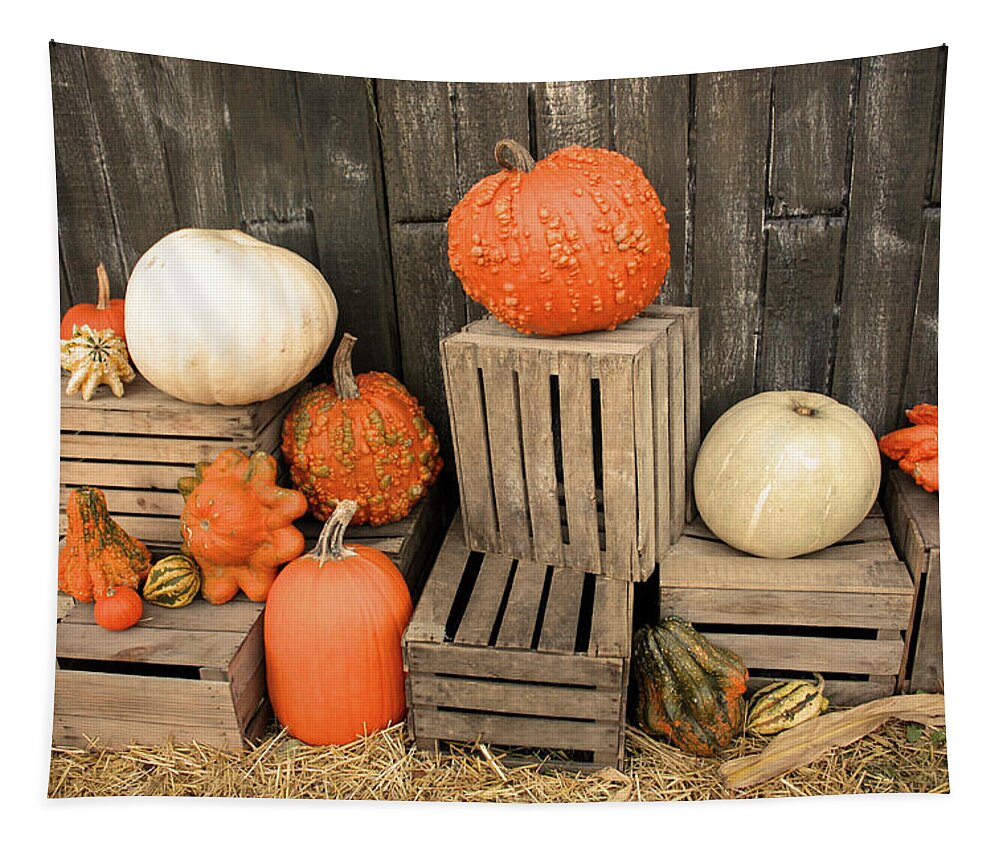 Pumpkin Tapestry featuring the photograph Fall Ya'll by Kristin Elmquist