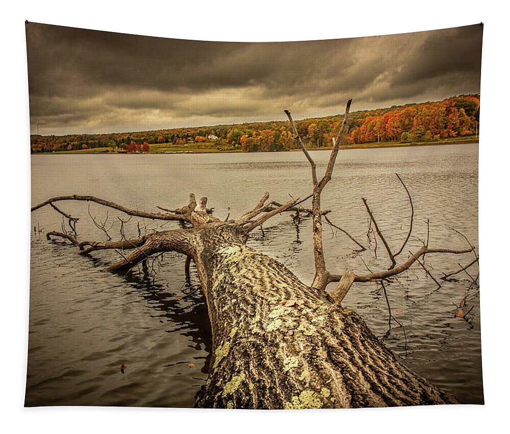 Appalachians Tapestry featuring the photograph Fallen Tree, Fall Colors by Rich Isaacman