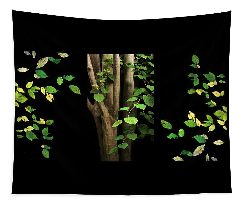 Tree Tapestry featuring the photograph Falling for Spring by Jessica Jenney