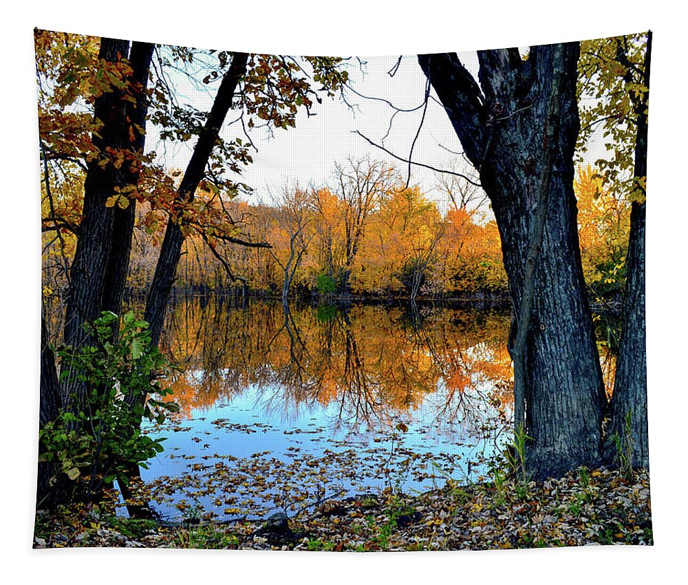 Fall Tapestry featuring the photograph Falling into the Backwaters by Susie Loechler