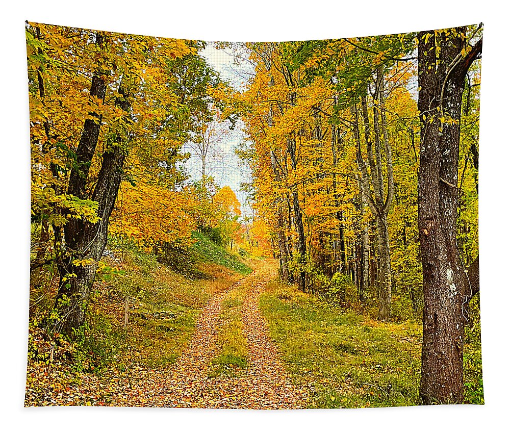Boone Tapestry featuring the photograph Fall's Path Home by Lee Darnell