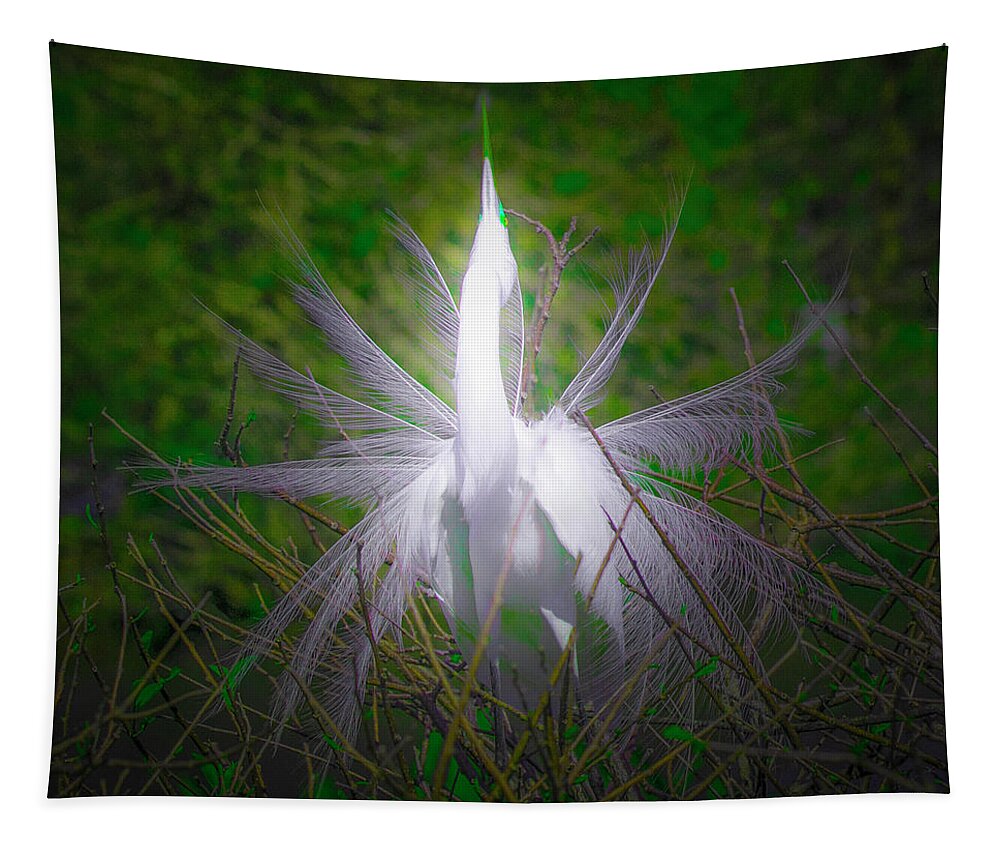 Great White Egret Tapestry featuring the photograph Fanning Out by Mark Andrew Thomas